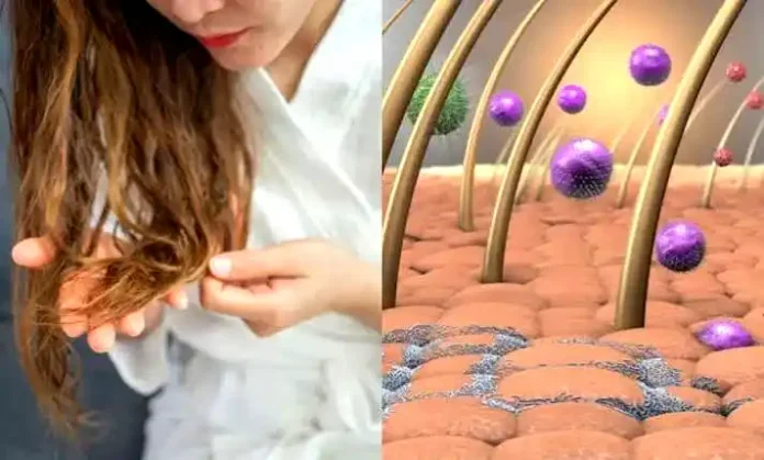 بچپن