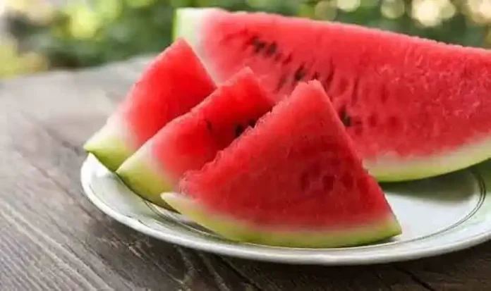 تربوز